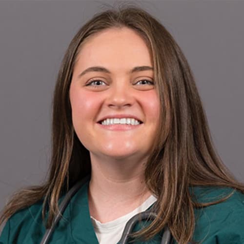 Dr. Delaney Hussey, Morton Veterinarian
